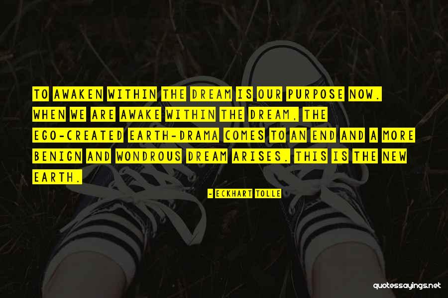 Ferraiuolo Quotes By Eckhart Tolle