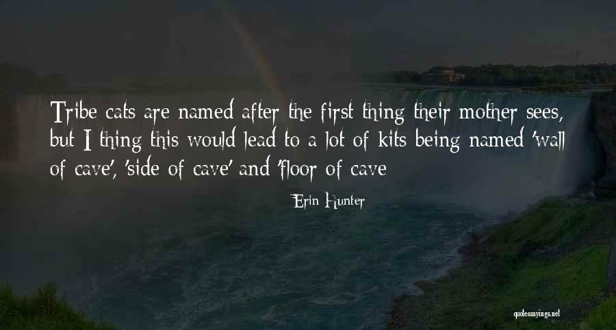 Ferrall Pools Quotes By Erin Hunter Ferrall Pools Quotes By Erin Hunter