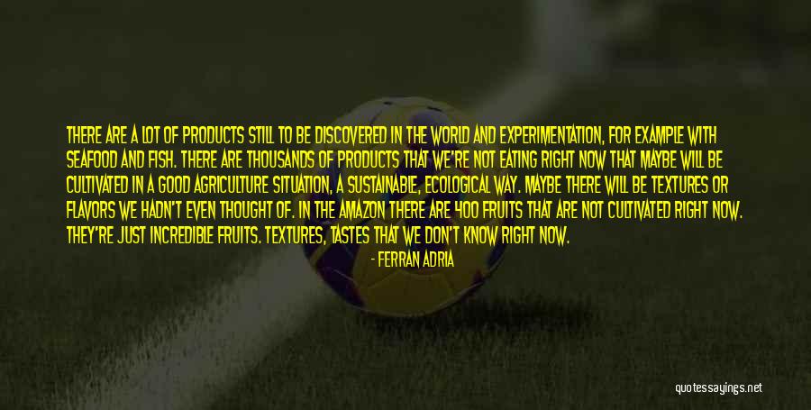Ferran Adria Quotes 1076349 Ferran Adria Quotes 1076349