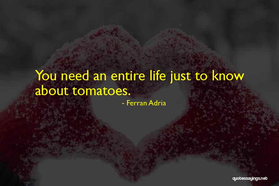 Ferran Adria Quotes 1979885 Ferran Adria Quotes 1979885