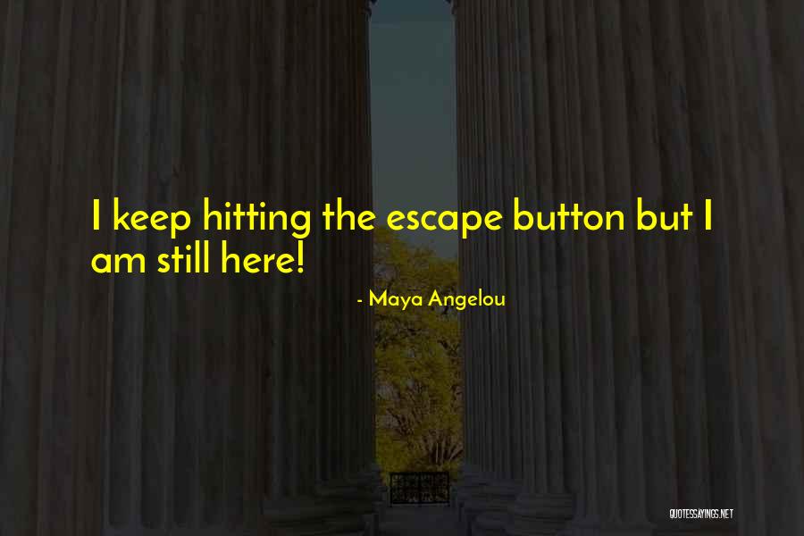 Ferrandino Sons Quotes By Maya Angelou Ferrandino Sons Quotes By Maya Angelou