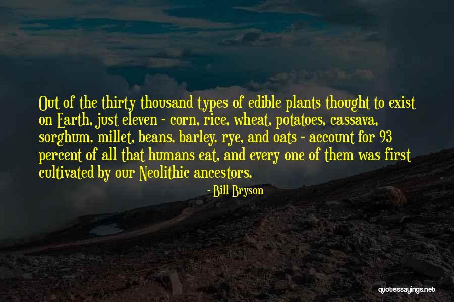 Ferrantino Oil Quotes By Bill Bryson Ferrantino Oil Quotes By Bill Bryson