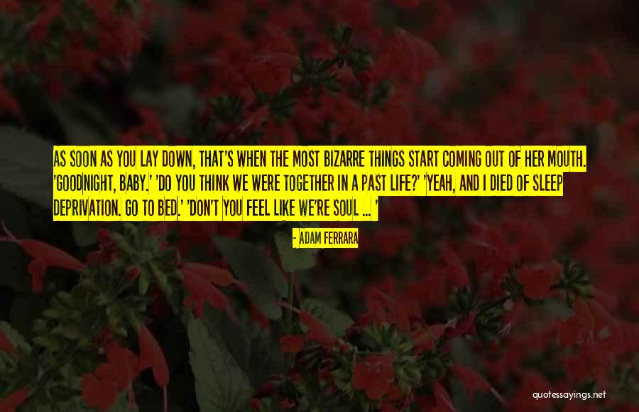 Ferrara Quotes By Adam Ferrara Ferrara Quotes By Adam Ferrara
