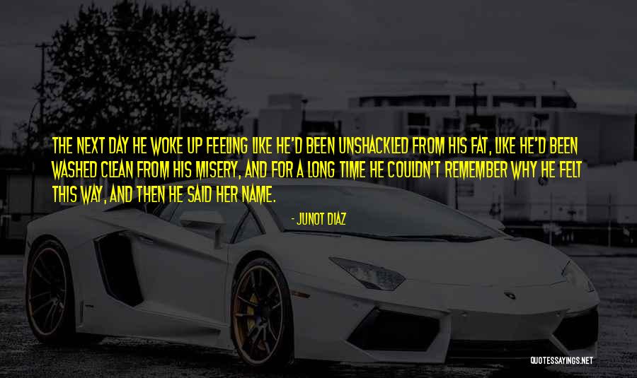 Ferrato Granite Quotes By Junot Diaz Ferrato Granite Quotes By Junot Diaz