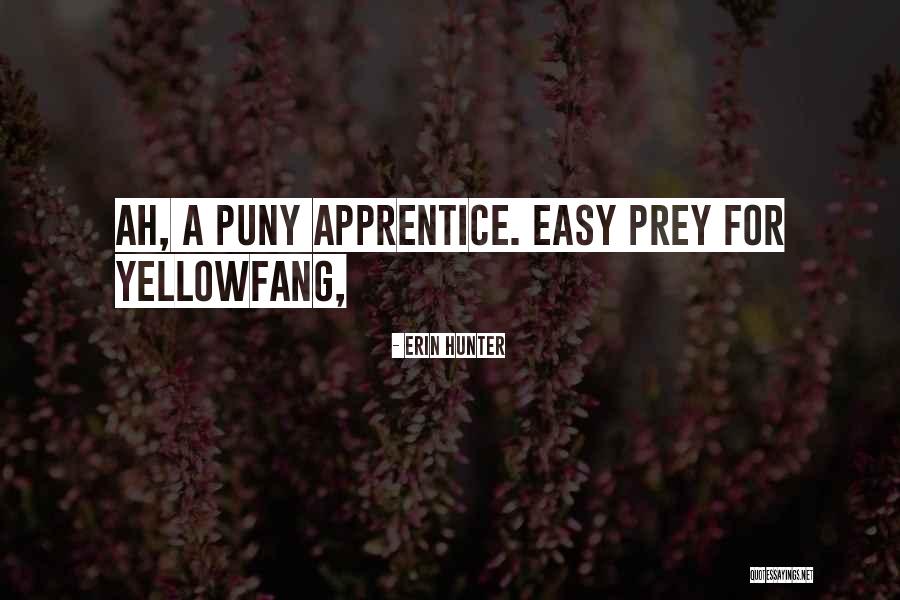 Ferrazzi Abajo Quotes By Erin Hunter Ferrazzi Abajo Quotes By Erin Hunter