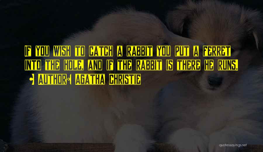 Ferret Quotes By Agatha Christie