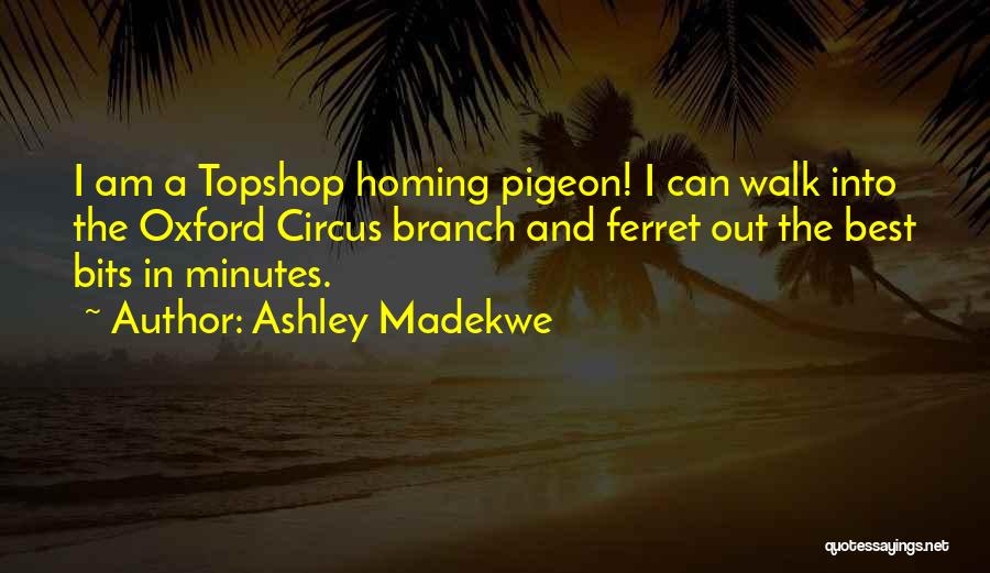 Ferret Quotes By Ashley Madekwe