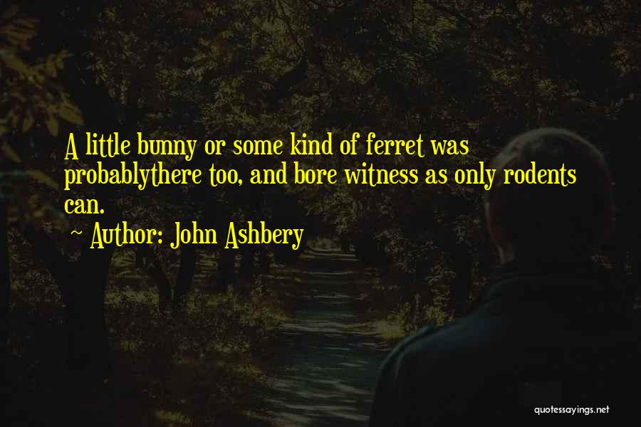 Ferret Quotes By John Ashbery