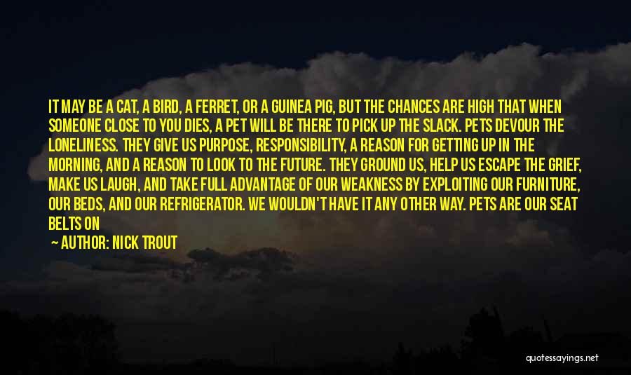 Ferret Quotes By Nick Trout