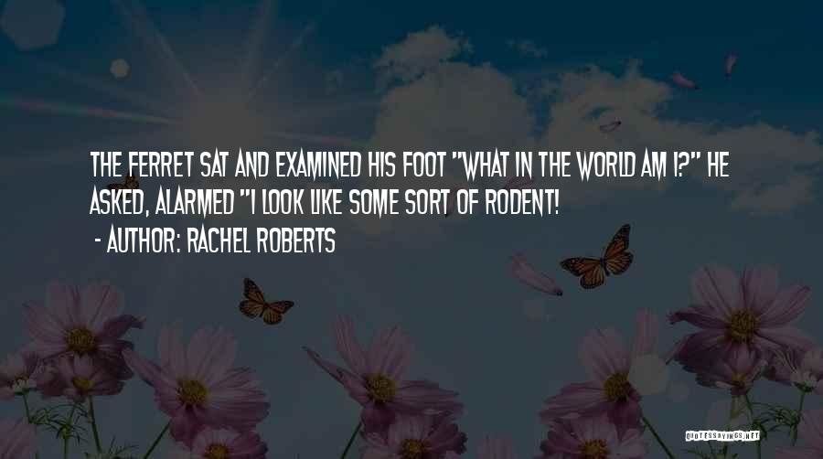 Ferret Quotes By Rachel Roberts