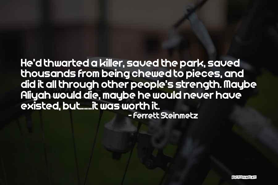 Ferrett Steinmetz Quotes 663921