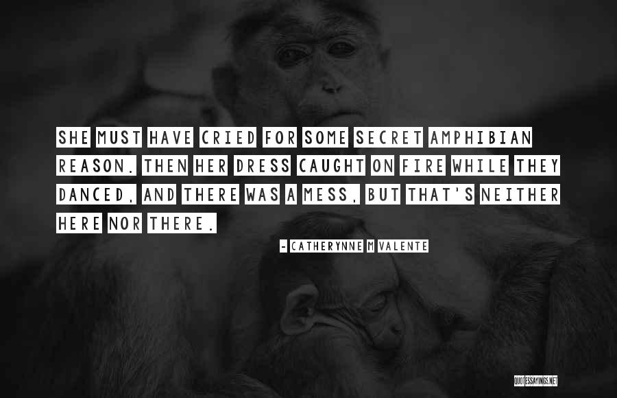 Ferreyra Facundo Quotes By Catherynne M Valente Ferreyra Facundo Quotes By Catherynne M Valente