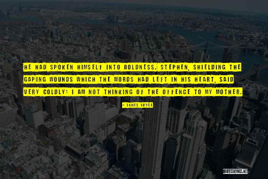 Ferris Wheel Couple Quotes By James Joyce