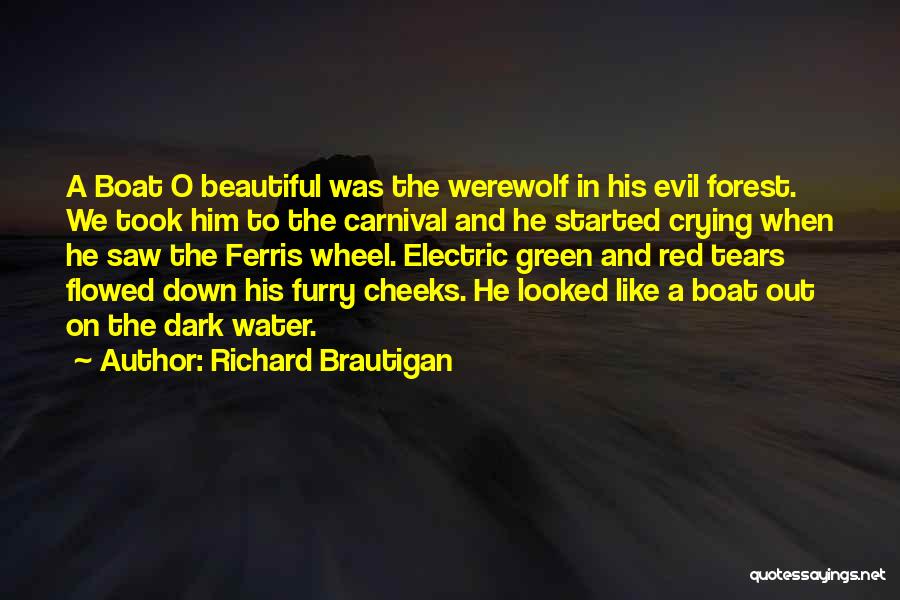 Ferris Wheel Quotes By Richard Brautigan
