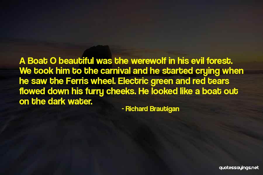 Ferris Wheel Quotes By Richard Brautigan