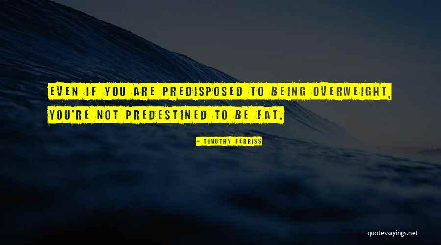 Ferriss Quotes By Timothy Ferriss Ferriss Quotes By Timothy Ferriss