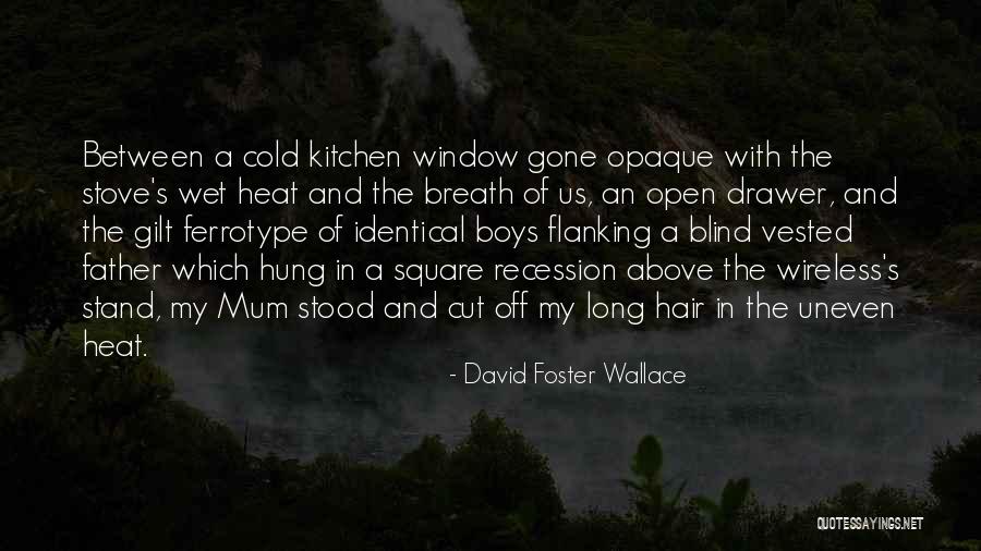 Ferrotype Quotes By David Foster Wallace Ferrotype Quotes By David Foster Wallace