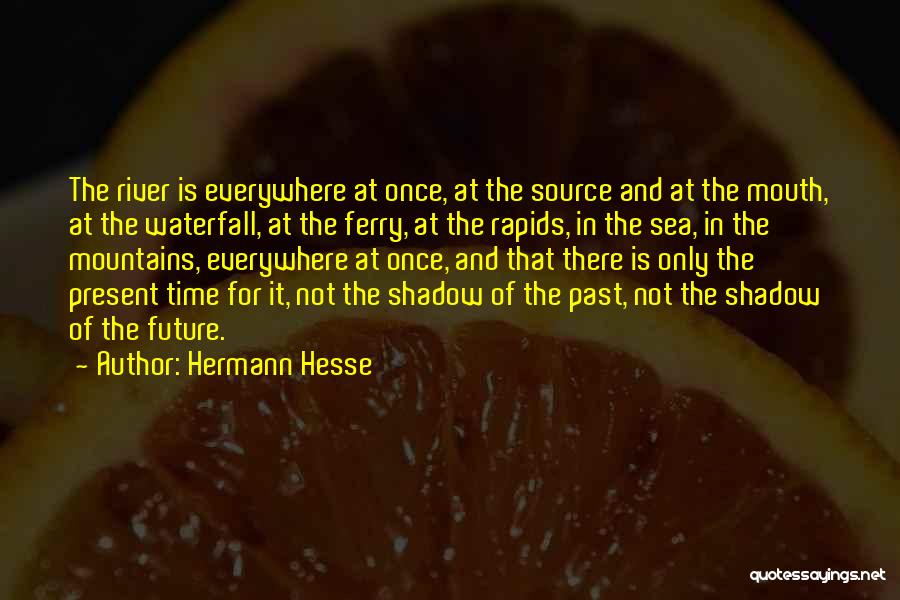 Ferry Quotes By Hermann Hesse