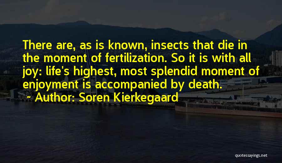 Fertilization Quotes By Soren Kierkegaard