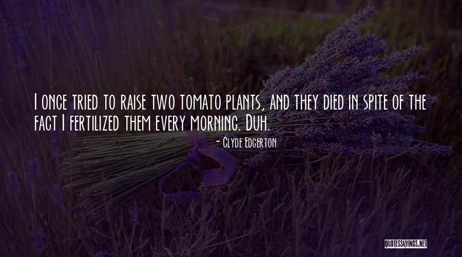 Fertilized Quotes By Clyde Edgerton Fertilized Quotes By Clyde Edgerton