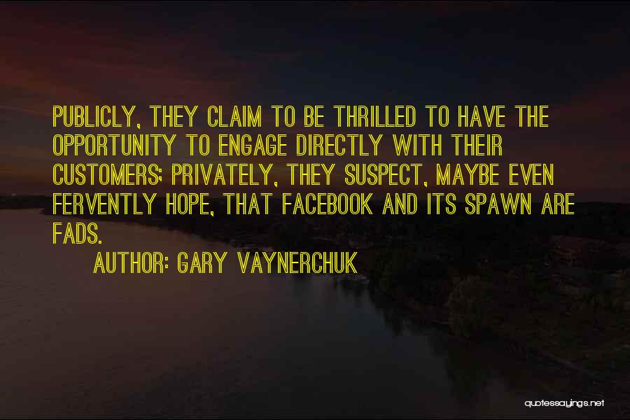 Fervently Quotes By Gary Vaynerchuk