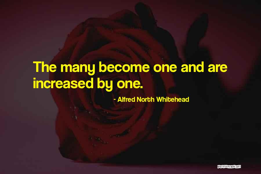 Fesiants Quotes By Alfred North Whitehead Fesiants Quotes By Alfred North Whitehead
