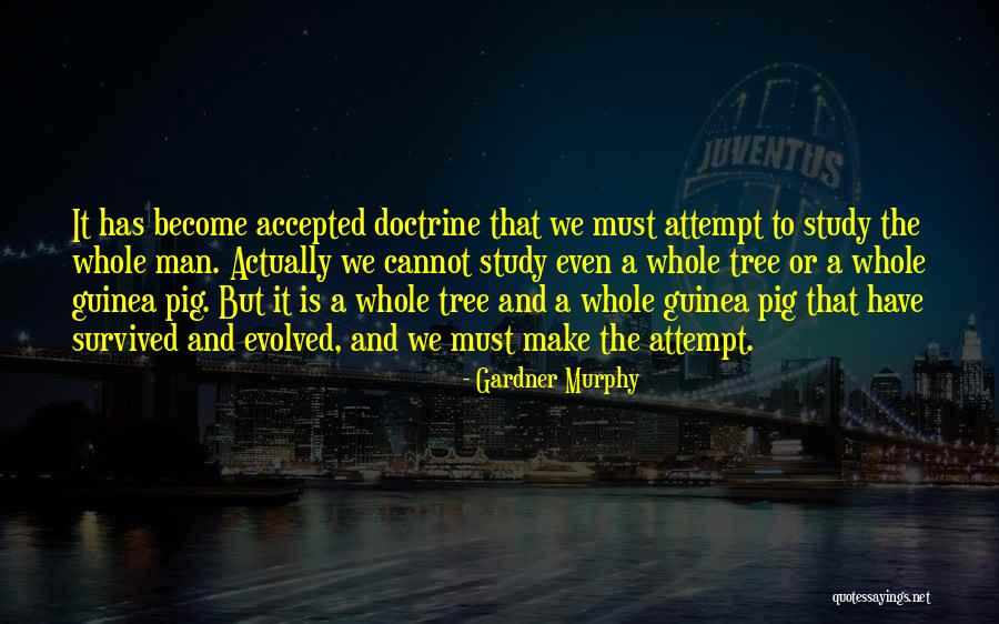 Fessehaye Quotes By Gardner Murphy Fessehaye Quotes By Gardner Murphy