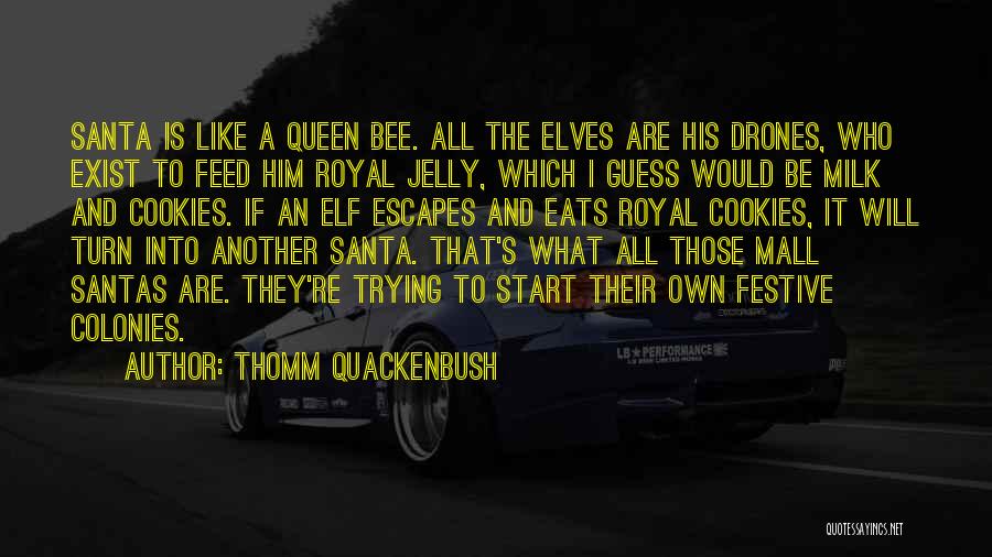 Festive Quotes By Thomm Quackenbush