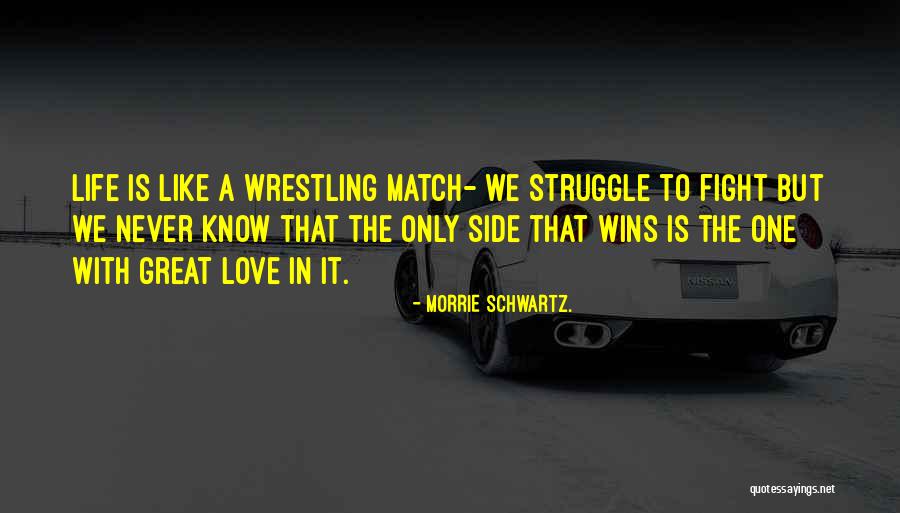 Festonsteek Quotes By Morrie Schwartz. Festonsteek Quotes By Morrie Schwartz.