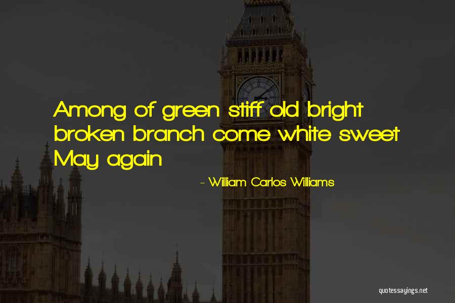 Festschrift Richard Quotes By William Carlos Williams Festschrift Richard Quotes By William Carlos Williams