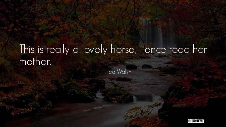 Feststellen Synonym Quotes By Ted Walsh Feststellen Synonym Quotes By Ted Walsh