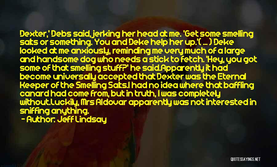 Fetch Quotes By Jeff Lindsay