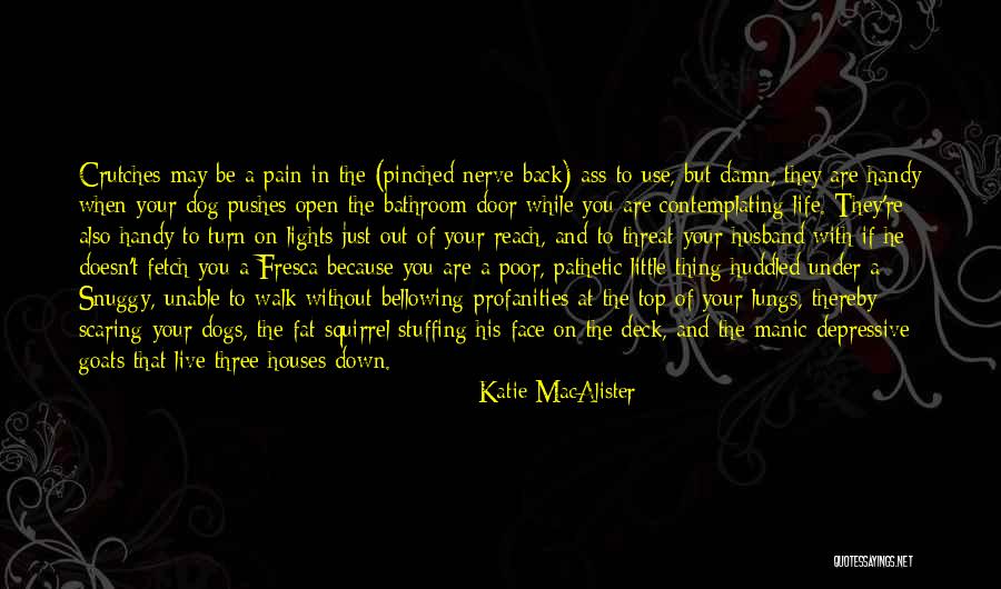 Fetch Quotes By Katie MacAlister