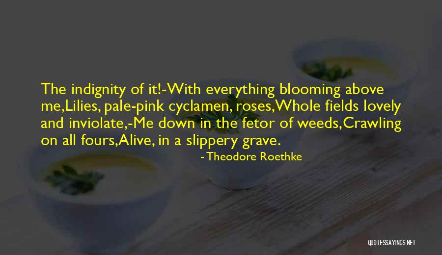 Fetor Quotes By Theodore Roethke Fetor Quotes By Theodore Roethke