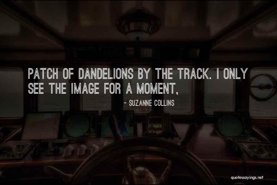 Fetterly Powder Quotes By Suzanne Collins Fetterly Powder Quotes By Suzanne Collins