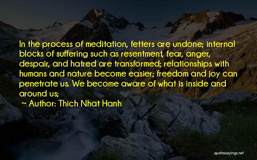 Fetters Quotes By Thich Nhat Hanh