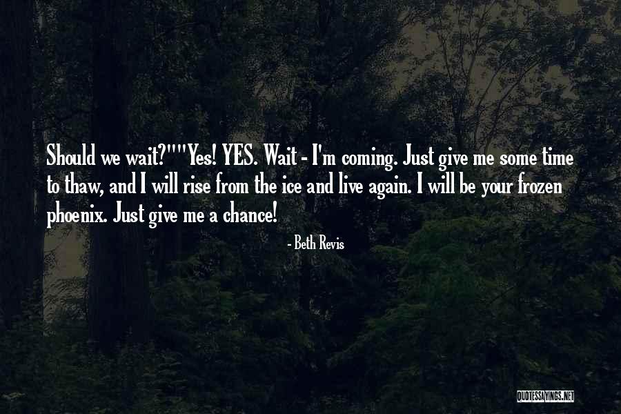 Fettis Scotland Quotes By Beth Revis
