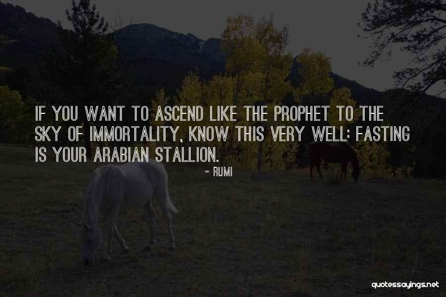 Fetyko Family School Quotes By Rumi