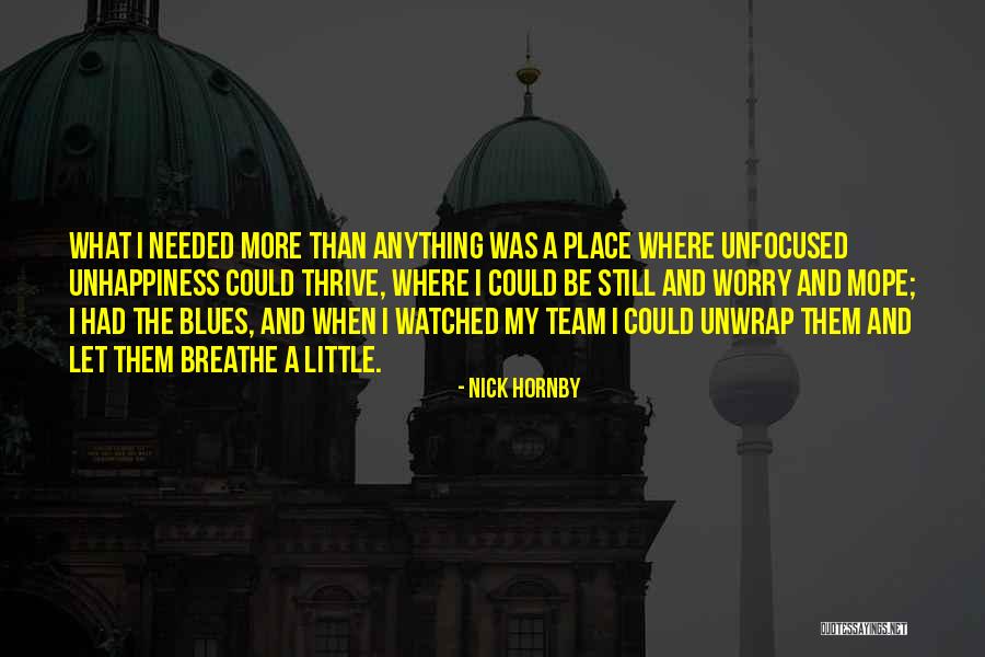Fever Pitch Quotes By Nick Hornby Fever Pitch Quotes By Nick Hornby