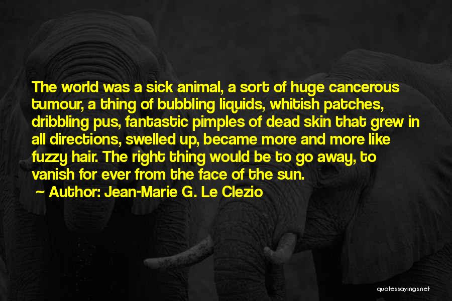 Fever Please Go Away Quotes By Jean-Marie G. Le Clezio