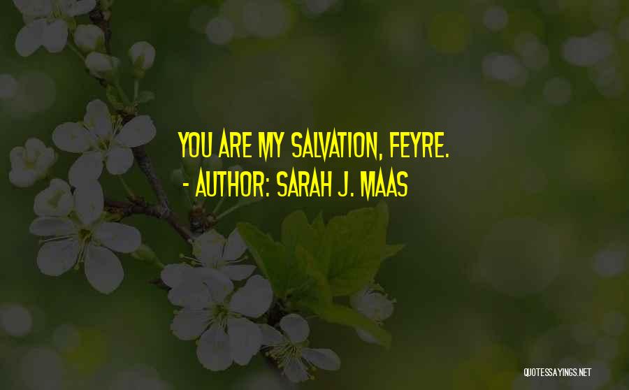 Feyre Quotes By Sarah J. Maas