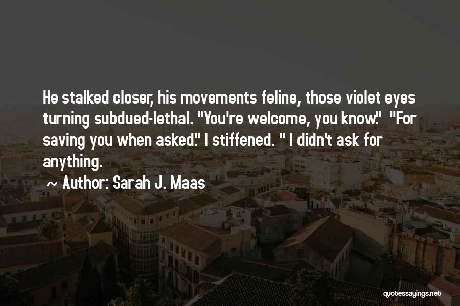 Feyre Quotes By Sarah J. Maas