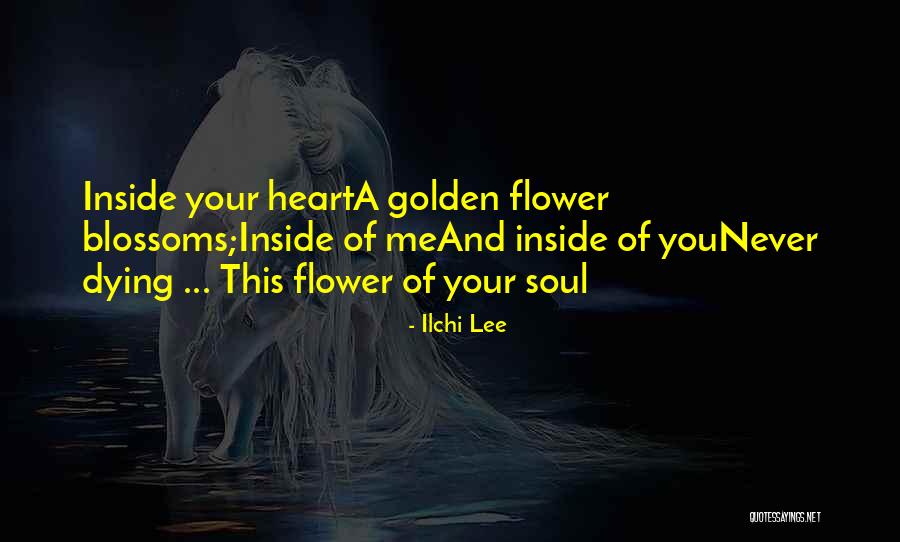Feysal Nin Quotes By Ilchi Lee Feysal Nin Quotes By Ilchi Lee