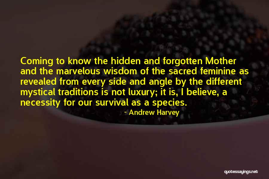 Fezes Com Quotes By Andrew Harvey Fezes Com Quotes By Andrew Harvey