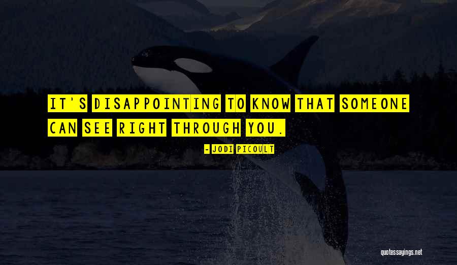 Ff13 Quotes By Jodi Picoult