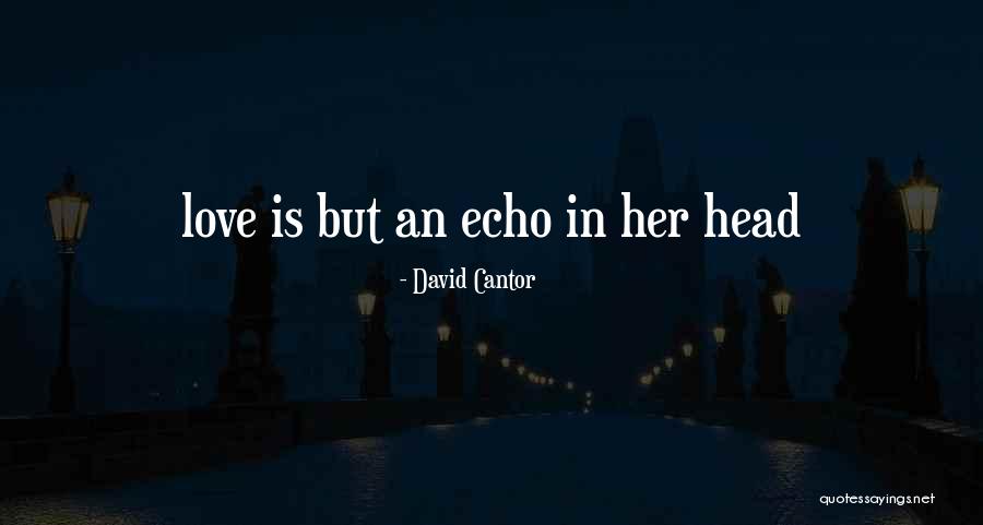Fhigx Quotes By David Cantor