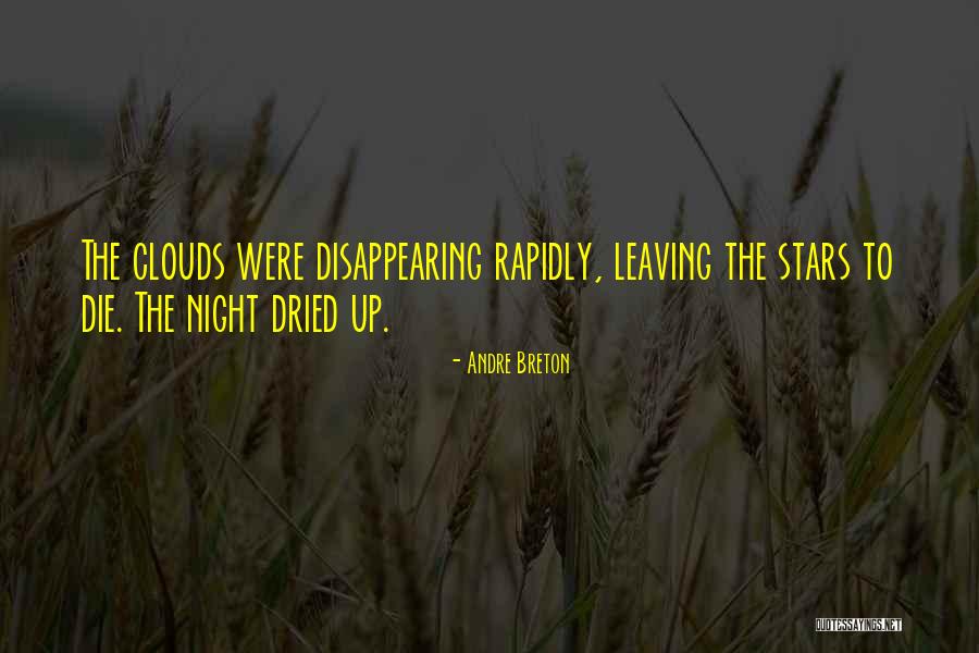 Fialka Vonava Quotes By Andre Breton Fialka Vonava Quotes By Andre Breton