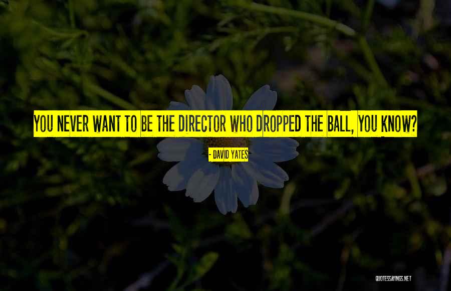 Fianza Bail Quotes By David Yates Fianza Bail Quotes By David Yates