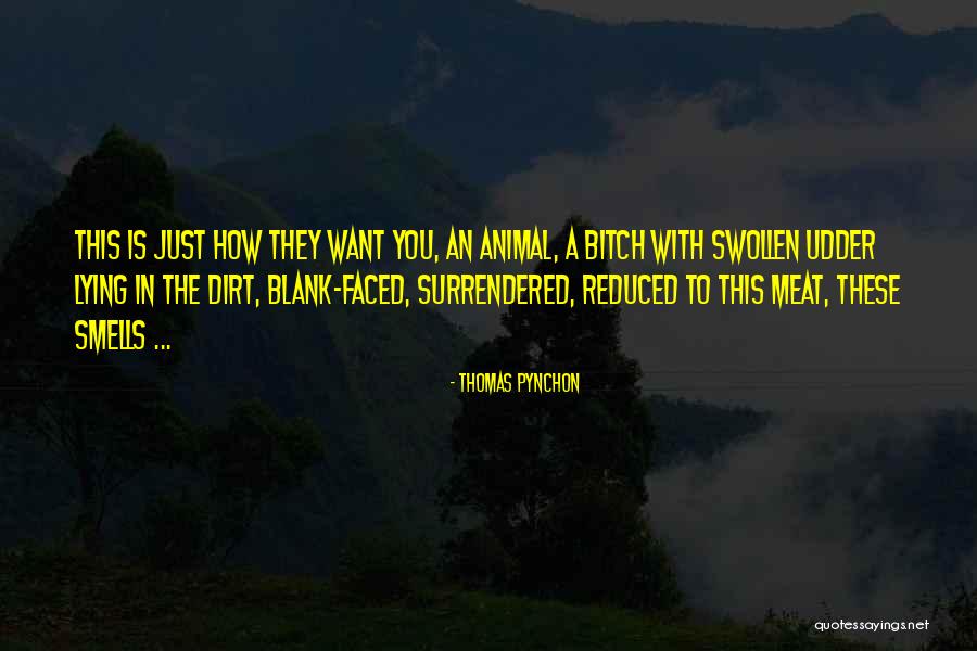 Fiaschi Mother Quotes By Thomas Pynchon Fiaschi Mother Quotes By Thomas Pynchon
