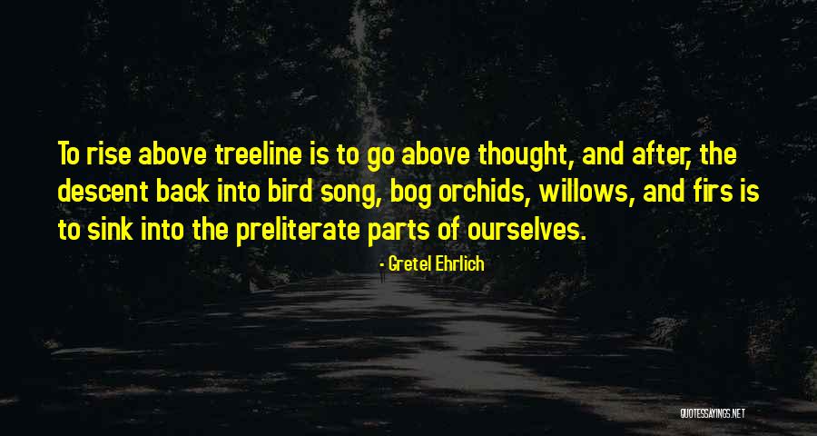 Fibbers Sunset Quotes By Gretel Ehrlich Fibbers Sunset Quotes By Gretel Ehrlich
